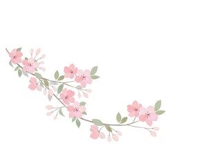 Obraz na płótnie Canvas 桜の花　水彩画風