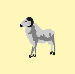 illustration of sheep