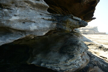 The rocky shore in Sydney, Australia