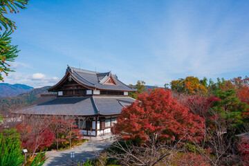 Obraz premium 京都 将軍塚青龍殿の紅葉