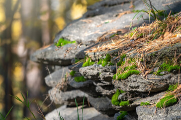 A layered rocky cliff wall in the autumn forest
