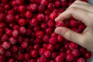 Background from cherry berries. The girl holds the frozen cherry with her fingers.