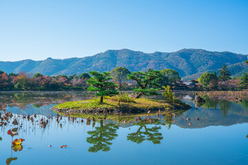 京都　大覚寺の大沢池　秋