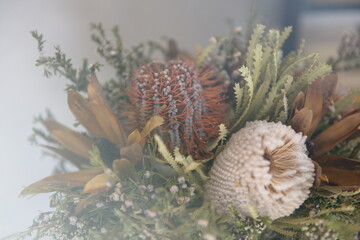 The Australian bush flower bouquet with the sunlight