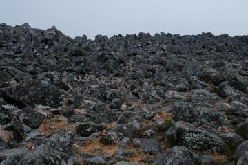 山頂にあった岩たち