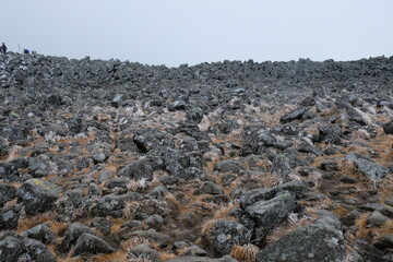 山頂にあった岩たち