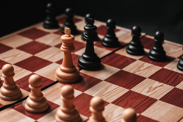 White king against black king face to face on chessboard, battle of two armies