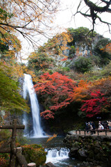 秋の箕面の滝