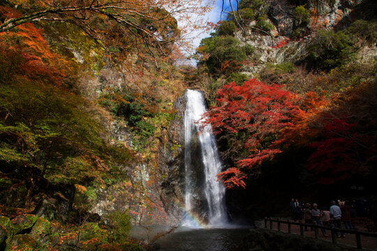 箕面滝」の写真素材 | 790件の無料イラスト画像 | Adobe Stock