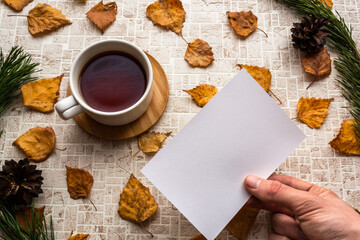 Naklejka na ściany i meble Looking at blank photo card with black tea cup against pastel background with fall leaves in pine branches and pine cones natural frame. Memories of past concept. Copy space