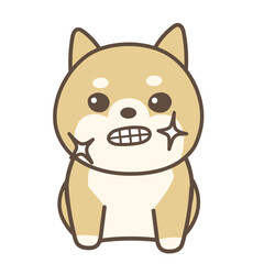 歯を磨いた柴犬