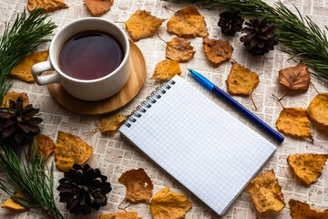 Opened blank notepad and blue pen with cup of tea on pastel background with autumn leaves, pine branches and pine cones. Copy space
