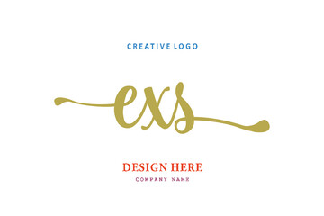 EXS lettering logo is simple, easy to understand and authoritative