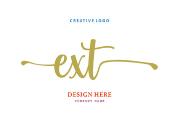 EXT lettering logo is simple, easy to understand and authoritative