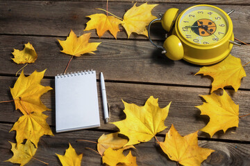 back to school theme with autumn leaves and stationery