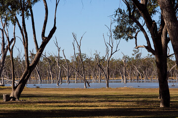 Lara wetlands near Barcaldine, Western Queensland.