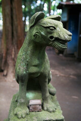 Fototapeta na wymiar 宝登山神社奥宮オオカミの狛犬