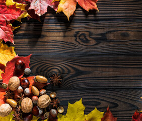 Naklejka na ściany i meble colorful autumn leaves of nuts, chestnuts and acorns on a wooden background with space for text. horizontal arrangement