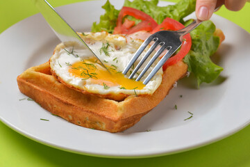 Sour waffle with fried egg and vegetables on a plate. Delicious traditional breakfast idea. Belgian waffle recipe.