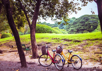 Fototapeta premium Classic Vintage Retro Bicycle Stop in Park