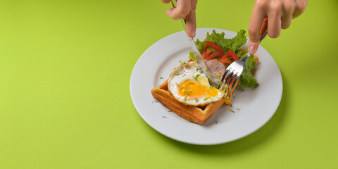 Sour waffle with fried egg and vegetables on a plate. Delicious traditional breakfast idea. Belgian waffle recipe.