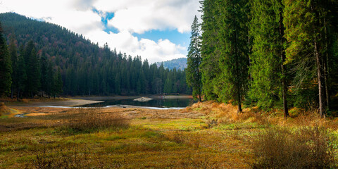 mountain lake among the coniferous forest. wonderful nature scenery in autumn. dry sunny weather with clouds on the sky