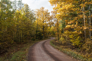 Road less travelled in fall colors