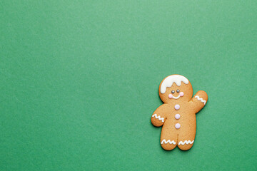 Tasty gingerbread cookie on color background