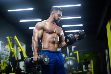 Fototapeta na wymiar Front view of a muscular bodybuilder lifting dumbbells in blue shorts posing in a gym