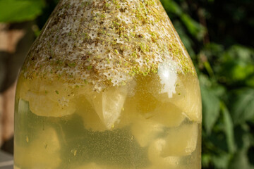 Making champagne from elderflowers, close-up of a glass bottle in fermentation, with lemon and water.