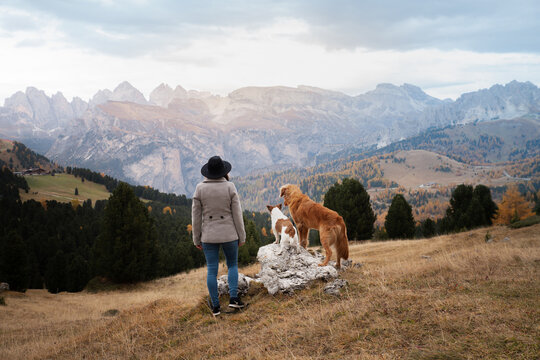 traveler with a two dogs in the autumn mountains. Nova Scotia Duck Tolling Retriever and Jack Russell Terrier 