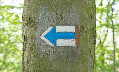 Marking the tourist route painted on the tree