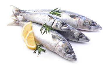 Fish mackerel on a white background