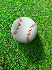 Baseball on the clear green grass turf close-up. Top view