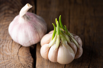 Garlic on a wooden table. Heads of garlic on a dark background. Beautiful black on a wooden board. Seasoning. Good for your health. Healthy eating For immunity. Vitamin. From coronavirus
