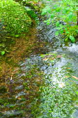 Fototapeta premium 姫川源流湧き水