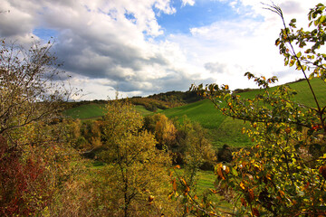 Colline in autunno, foliage