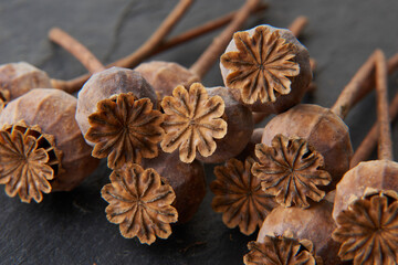 dry poppy on a black background dry poppy heads. Dry poppy heads on a black background. Poppy head and seeds are scattered.