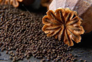 dry poppy on a black background dry poppy heads. Dry poppy heads on a black background. Poppy head and seeds are scattered.