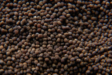 dry poppy on a black background dry poppy heads. Dry poppy heads on a black background. Poppy head and seeds are scattered.