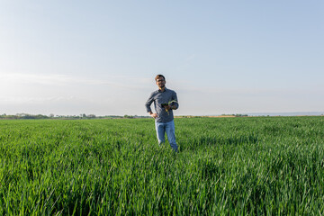 Naklejka na ściany i meble Portrait of farmer standing in young wheat field holding tablet in his hands and examining crop.