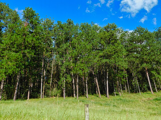 Donde terminan las sombras