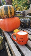 pumpkins and gourds