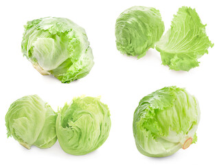 Green Iceberg lettuce on White Background