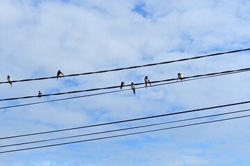 prêt pour le départ © helenedevun