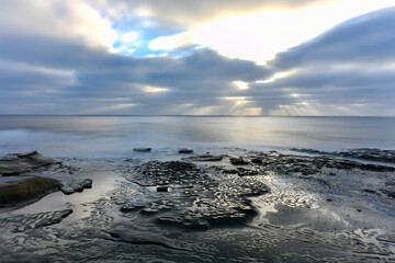 Tide Pools - La Jolla