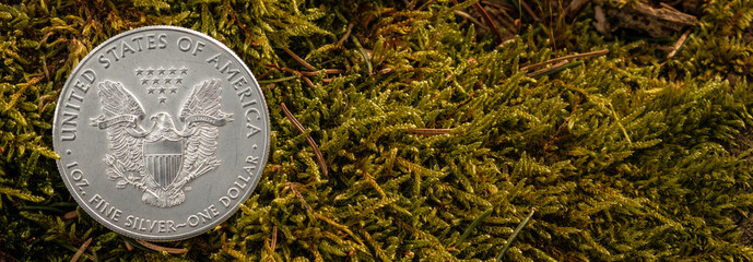Silbermünze (1Oz American Silver Eagle) auf einem natürlichen Hintergrund aus Moos