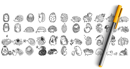 Hedgehogs doolde set. Collection of pencil pen ink hand drawn sketches templates patterns of forest prickly animal isolated in line. Autumn symbol and wildlife nature illustration.