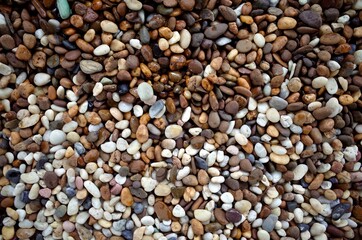 Small textured pebbles stone, pebble stone on ground walkways
