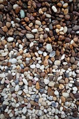 Surface small round pebble stone with light colored and dark colored
